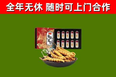 长安回收冬虫夏草价格
